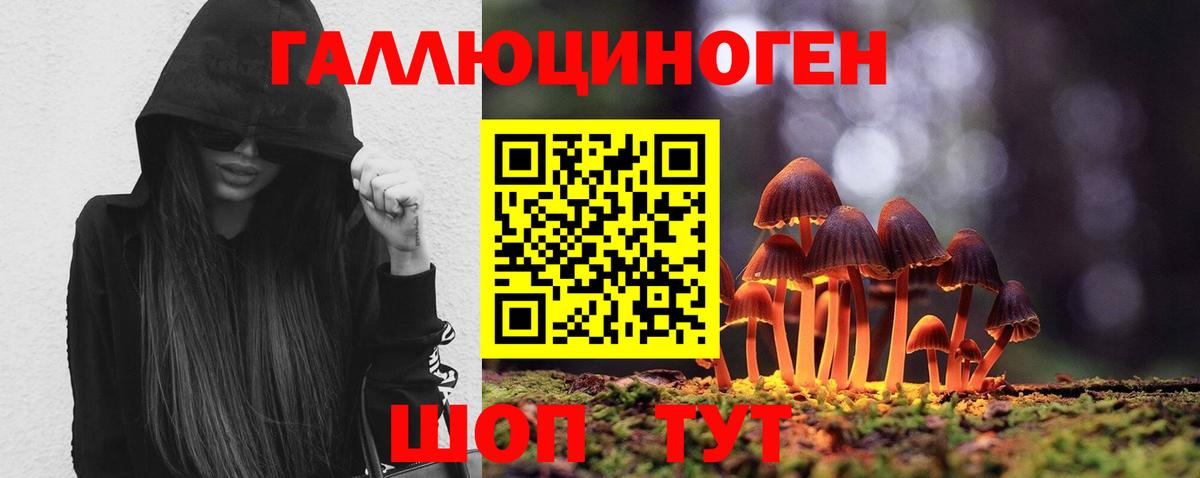 Галлюциногенные грибы GOLDEN TEACHER  Галлюциногенные грибы прущие грибы  Вход с VPN  Усть-Джегута 